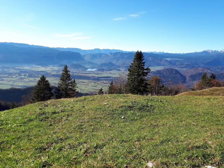 Apartma Juli * Zirovnica