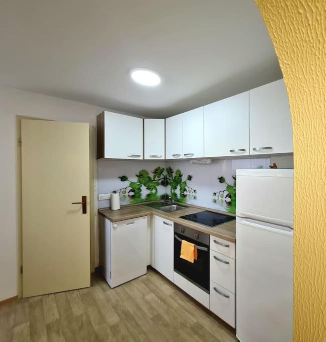 Apartma Juli Zirovnica