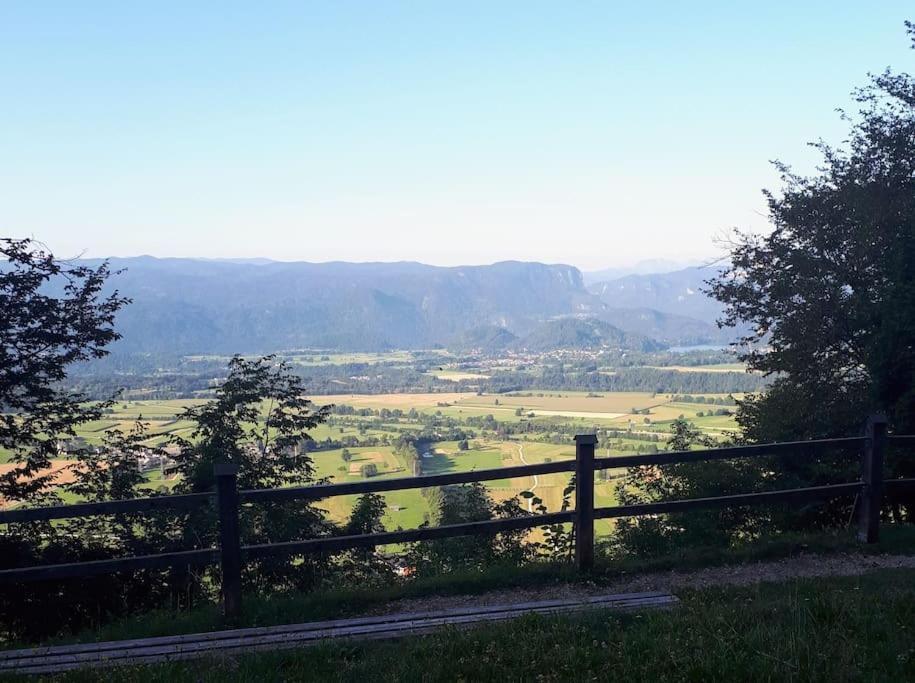 Apartma Juli * Zirovnica